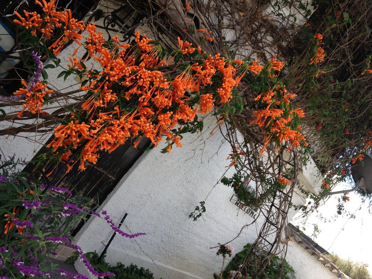 Mansion Samzara Hosteleria Sangolquí Exterior foto